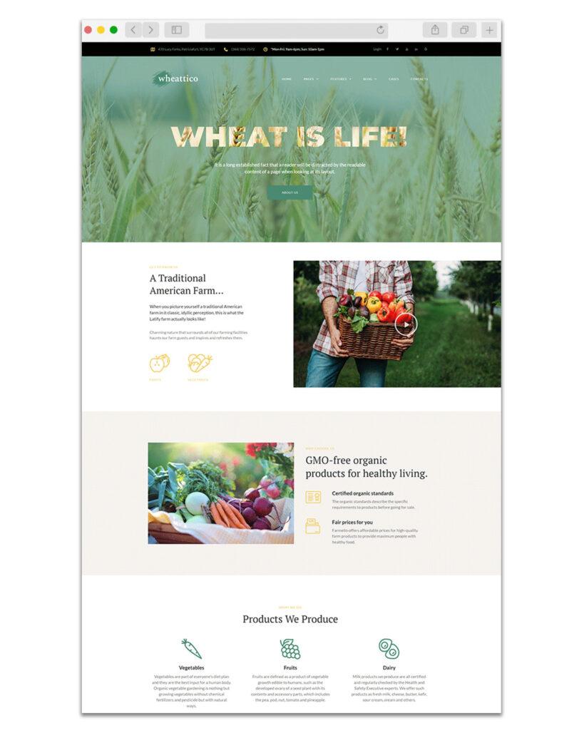 Web Design Paysagiste 4